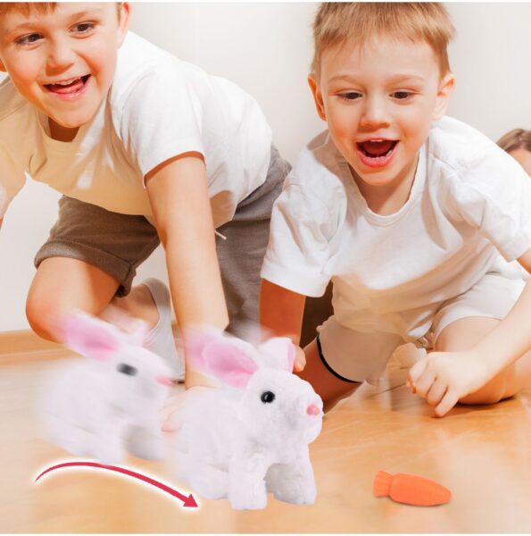 interaktyvus-kiskis-su-dezute-2 interaktyvus-kiskis-su-dezute-2