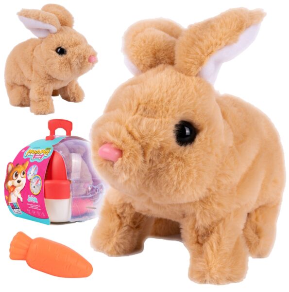 interaktyvus-kiskis-su-dezute-5 interaktyvus-kiskis-su-dezute-5