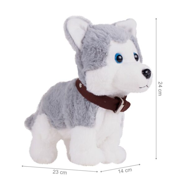 suniukas-haskis-su pavadeliu-1 suniukas-haskis-su pavadeliu-1