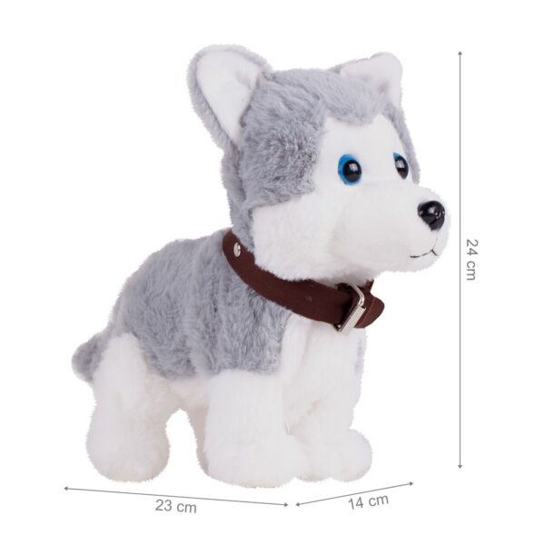 suniukas-haskis-su pavadeliu-1 suniukas-haskis-su pavadeliu-1