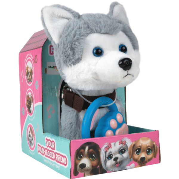 suniukas-haskis-su-pavadeliu-1 suniukas-haskis-su-pavadeliu-1