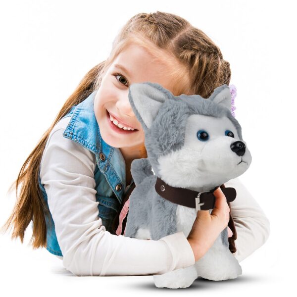 suniukas-haskis-su pavadeliu-2 suniukas-haskis-su pavadeliu-2