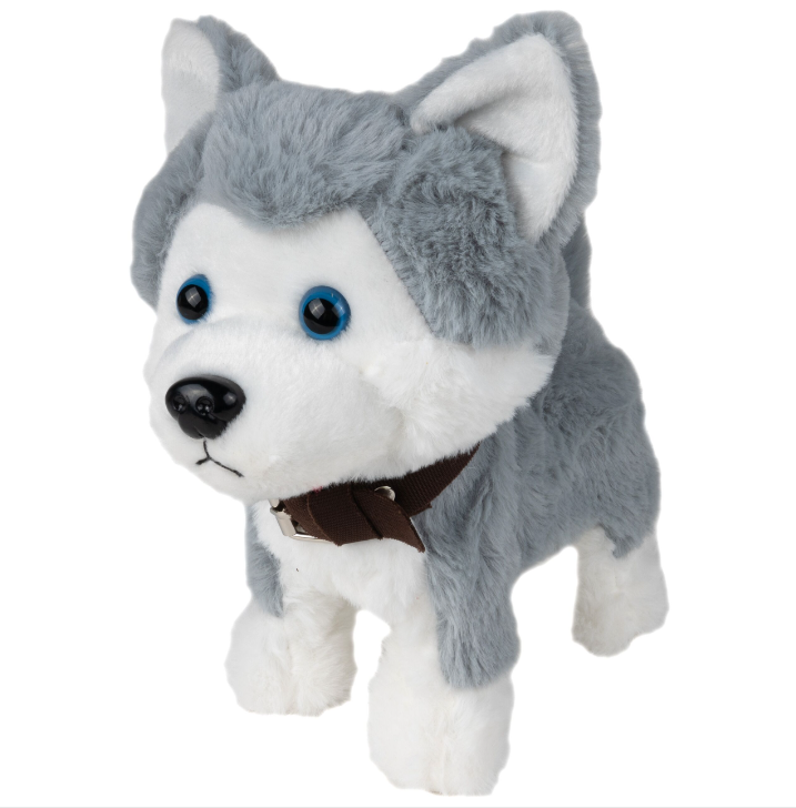 suniukas-haskis-su-pavadeliu-2 suniukas-haskis-su-pavadeliu-2