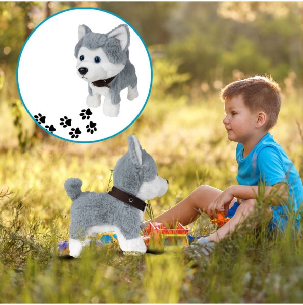 suniukas-haskis-su pavadeliu-7 suniukas-haskis-su pavadeliu-7