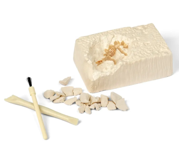 Archeologijos-kasinėjimo-rinkinys-dinozauras-2 Archeologijos-kasinėjimo-rinkinys-dinozauras-2