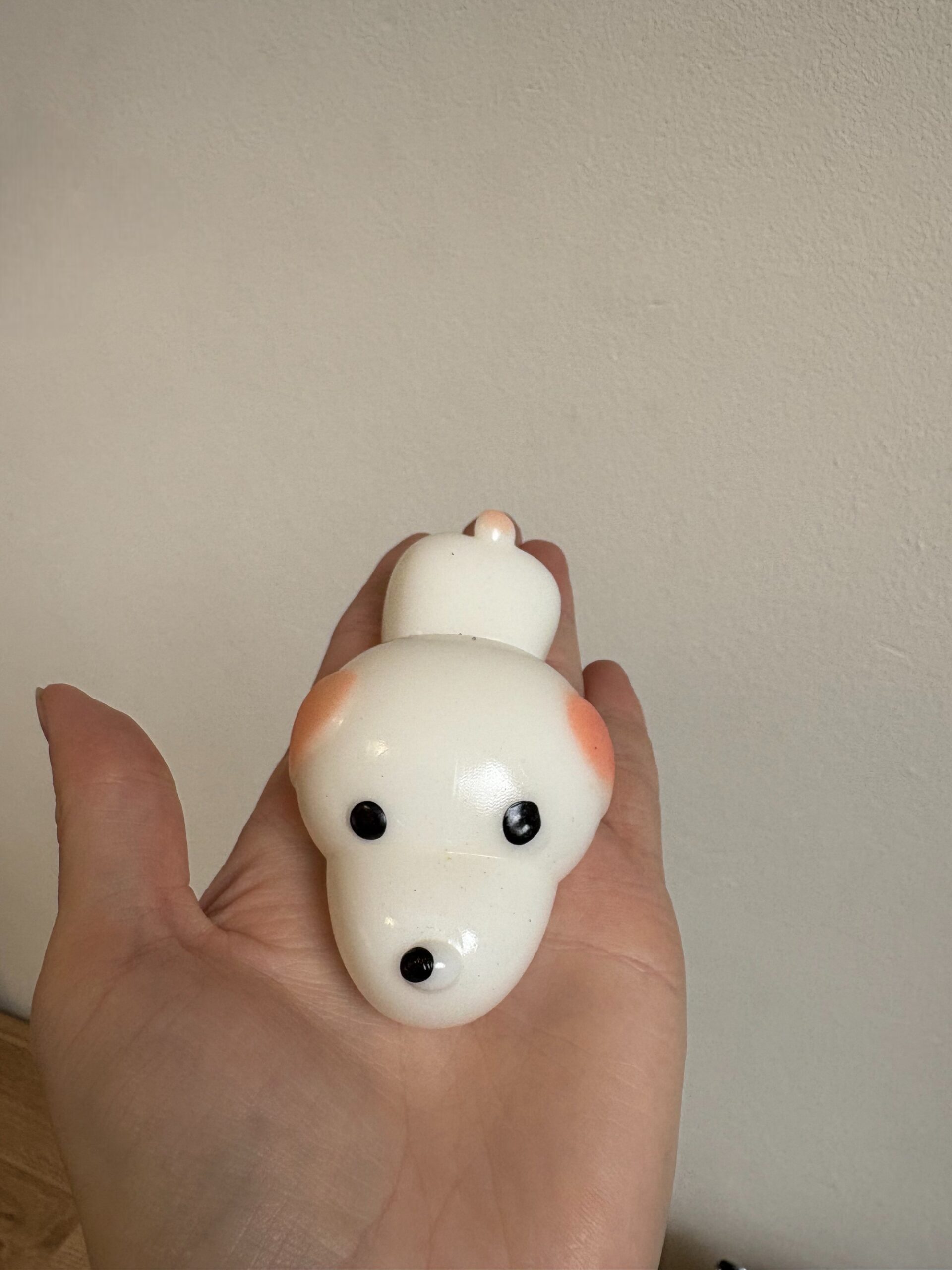 suniukas-letenele-1-Photoroom