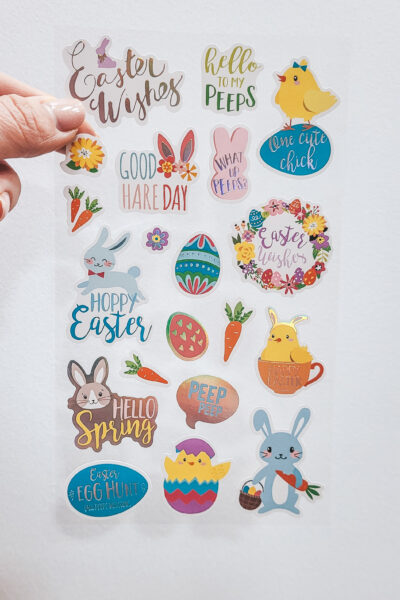 20250206_115606 20250206_115606