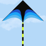 Lauko-aitvaras-1 Lauko-aitvaras-1