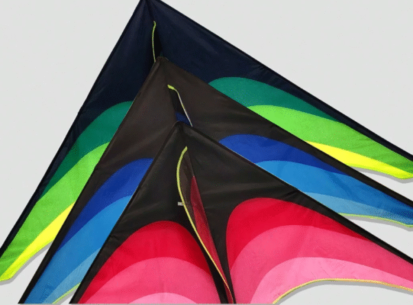 Lauko-aitvaras-2 Lauko-aitvaras-2