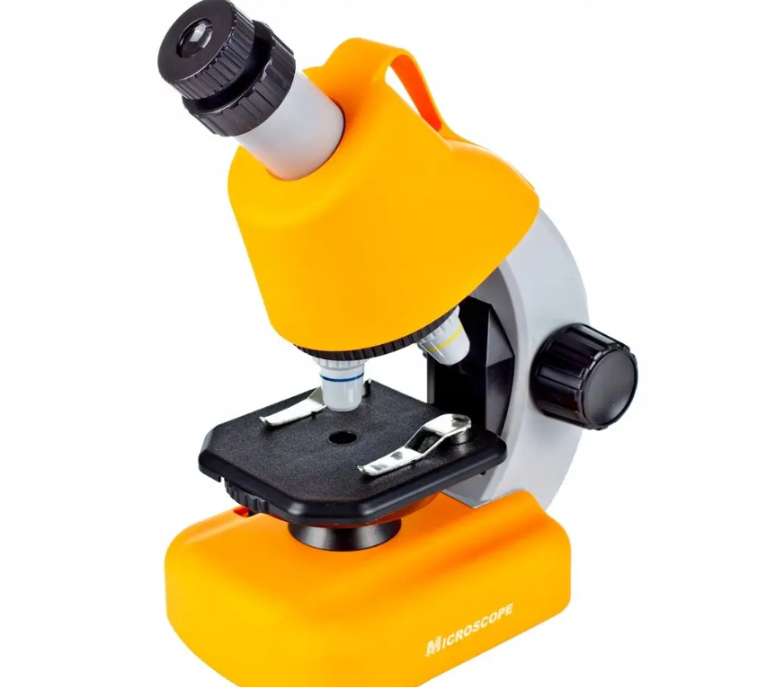 mikroskopas-dezuteje-2 mikroskopas-dezuteje-2