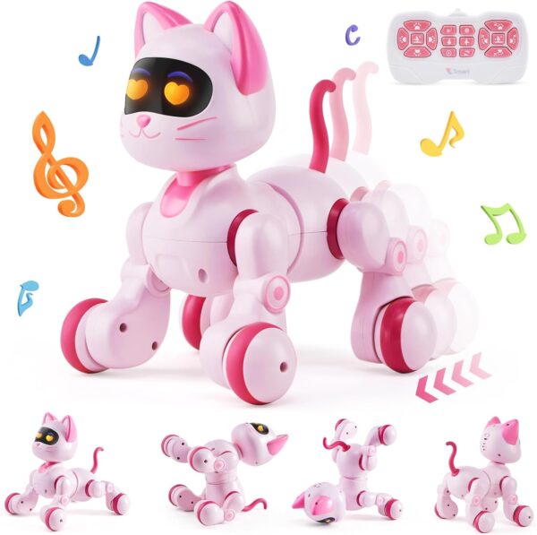 katinas-robotas-su-valdymo-pultu-muzika-ir-garsai