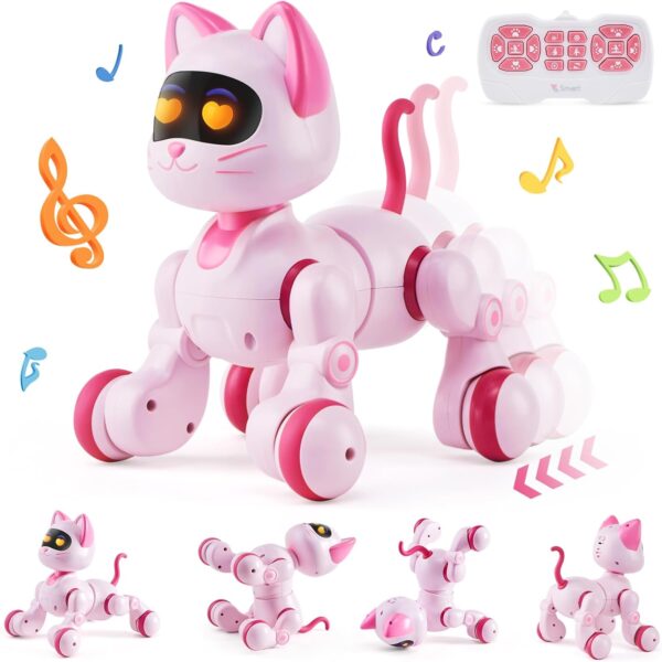 katinas-robotas-su-valdymo-pultu-muzika-ir-garsai