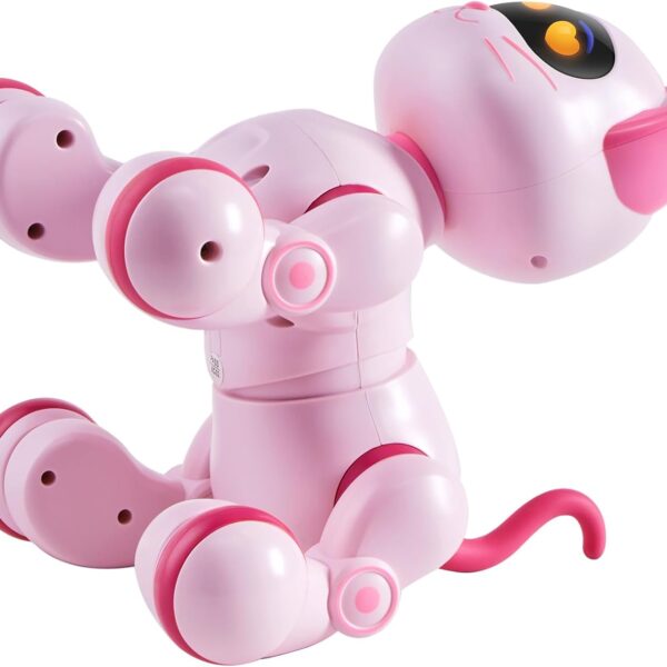 katinas-robotas-su-valdymo-pultu-muzika-ir-garsai-8
