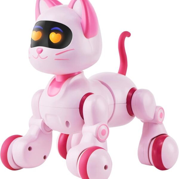 katinas-robotas-su-valdymo-pultu-muzika-ir-garsai-9