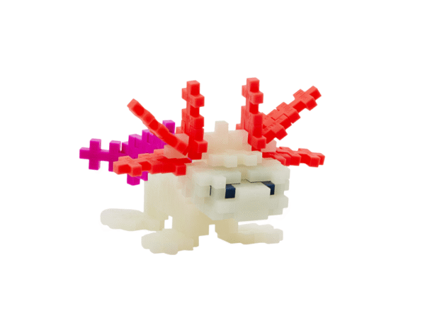 plus-plus-konstruktorius-aksolotlis-100-det-3168824e76fb5e5b9e051cbe0ce9edf6-1000xauto_0 plus-plus-konstruktorius-aksolotlis-100-det-3168824e76fb5e5b9e051cbe0ce9edf6-1000xauto_0