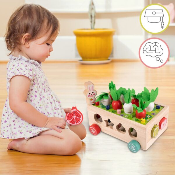 montessori-medinis-lavinamasis-rinkinys-vaikiskas-6